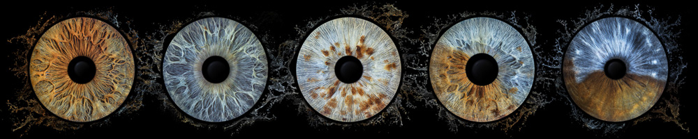 Splash Black 1X5