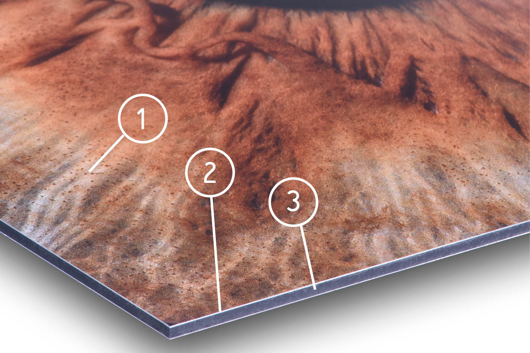 Alu Dibond Direct Materials