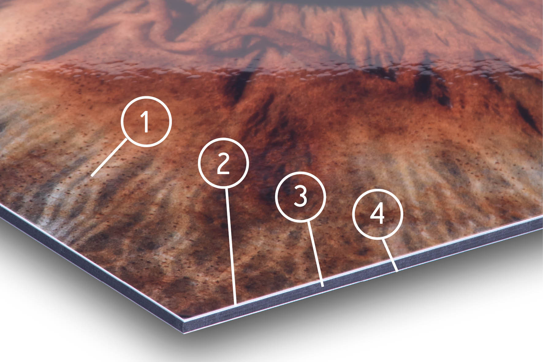 Alu Dibond Paper Materials